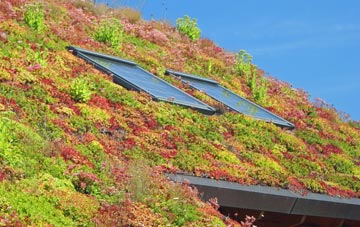 Fosdyke living roof systems