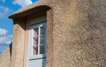 Fosdyke thatch roof disadvantages