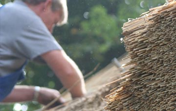 professional Fosdyke thatchers