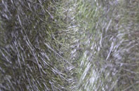 Fosdyke fibreglass roof work